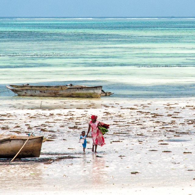 Zanzibar, tesoro, mi si è ritirato il mare