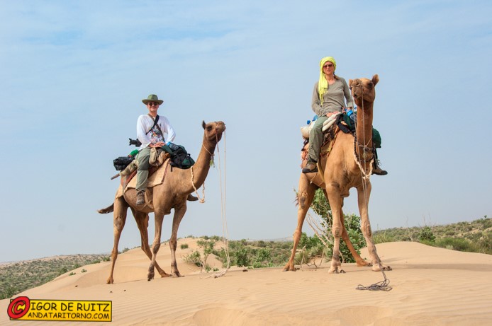 Sul cammello a Jaisalmer