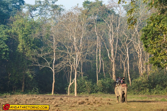 Parco nazionale di Chitwan
